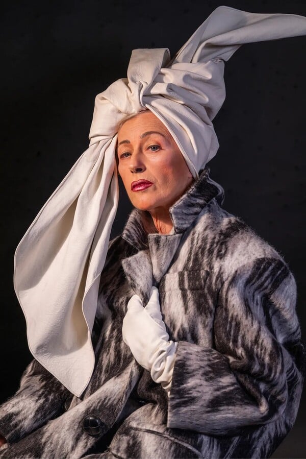 *Το δέρμα που κατοικώ/από τον Πάνο Μιχαήλ