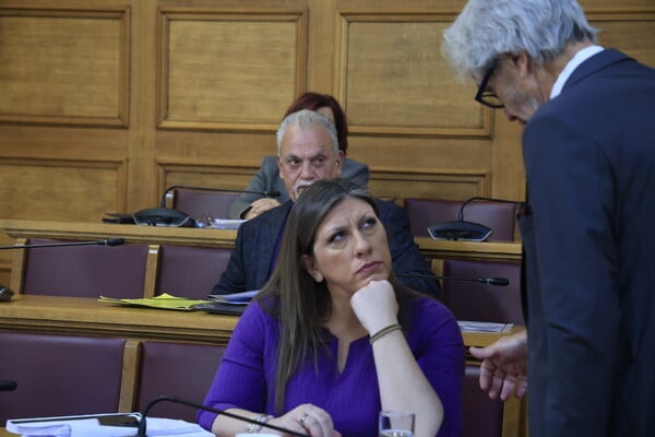 ΖΩΗ ΚΩΝΣΤΑΝΤΟΠΟΥΛΟΥ ΑΣΤΥΝΟΜΙΑ ΦΡΑΠΕΣ ΓΙΩΡΓΟΣ ΞΥΛΟΥΡΗΣ ΕΞΕΤΑΣΤΙΚΗ ΕΠΙΤΡΟΠΗ