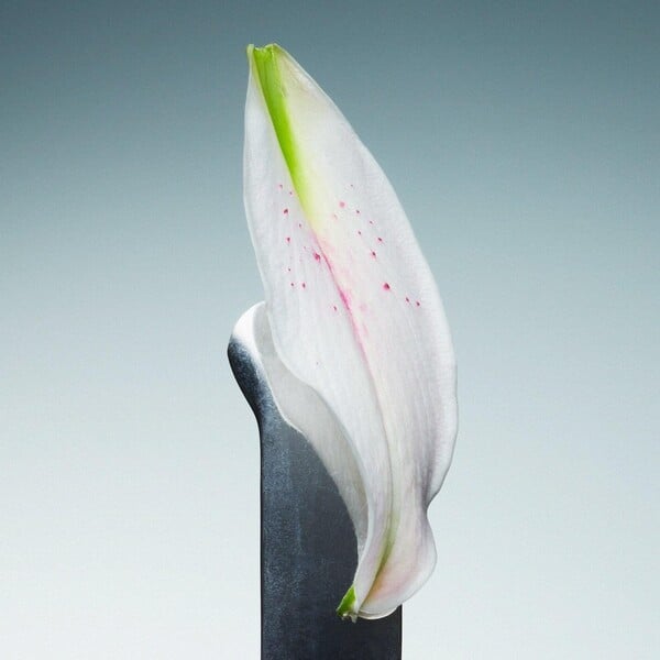 Mood-driven perfumes: Γιατί τα αρώματα που επιδρούν στη διάθεση κυριαρχούν τώρα;