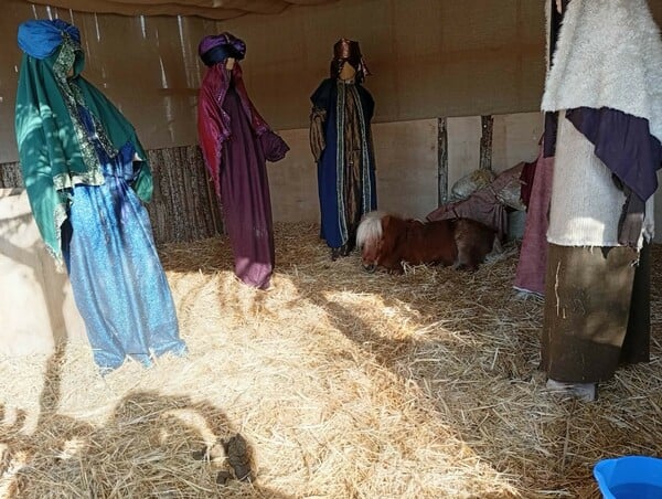 ΒΟΛΟΣ ΠΟΝΙ ΑΧΙΛΛΕΑΣ ΜΠΕΟΣ ΧΡΙΣΤΟΥΓΕΝΝΑ