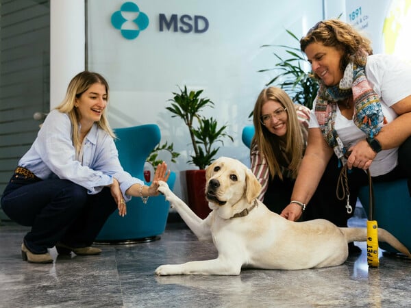 Μια ημέρα με την Έθελ στην MSD: Πώς ένας σκύλος-οδηγός αλλάζει την ζωή στο γραφείο