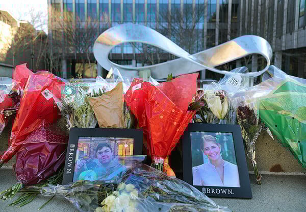 BROWN ΕΝΟΠΛΗ ΕΠΙΘΕΣΗ ΥΠΟΠΤΟΣ