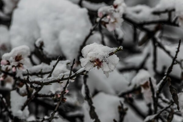 ΚΑΙΡΟΣ ΧΡΙΣΤΟΥΓΕΝΝΑ ΠΡΩΤΟΧΡΟΝΙΑ ΚΑΚΟΚΑΙΡΙΑ ΧΙΟΝΙΑ