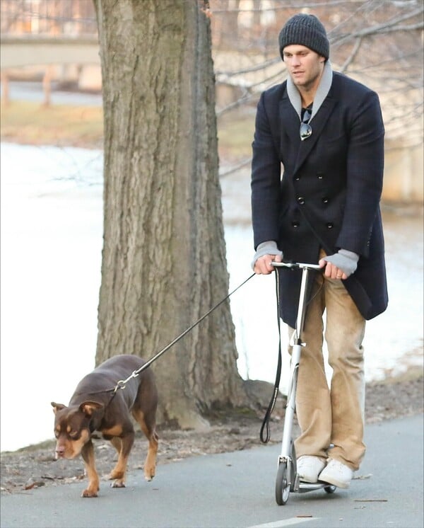 Εσείς θα κλωνοποιούσατε το κατοικίδιό σας; 