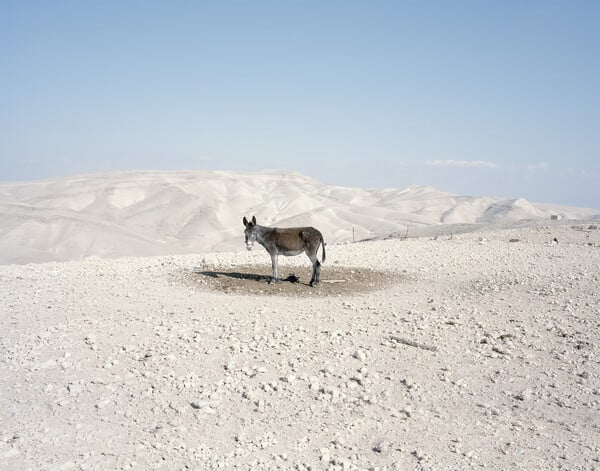 10 εκθέσεις για τις γιορτές 