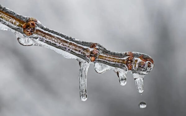 Μαρουσάκης: Το Σάββατο έρχεται βαρομετρικό χαμηλό - Κακοκαιρία με μεγάλο όγκο νερού και ραγδαιότητες