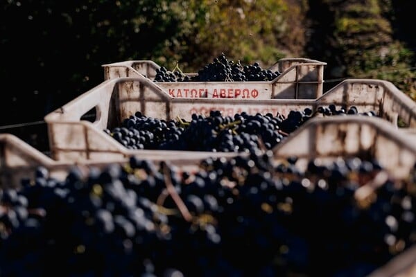 48 ώρες στο Μέτσοβο