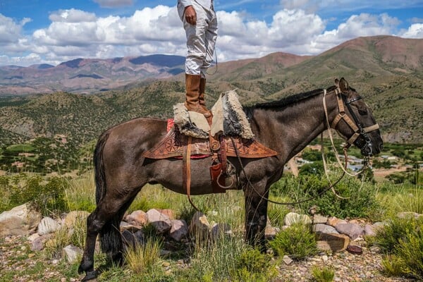 Οι καλύτερες φωτογραφίες του National Geographic για το 2025