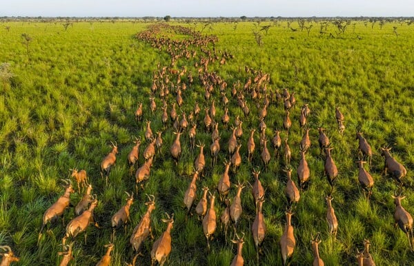 Οι καλύτερες φωτογραφίες του National Geographic για το 2025