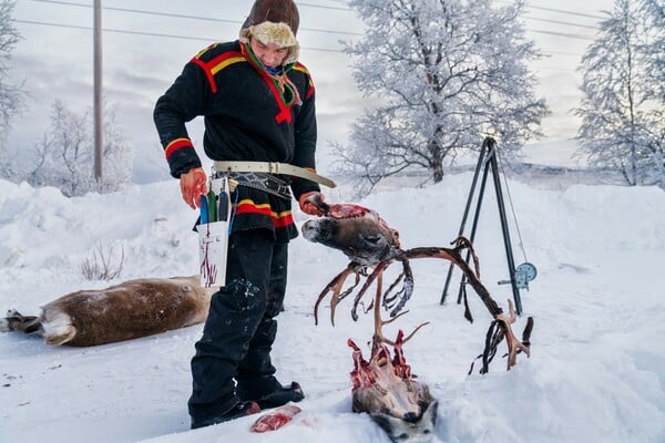 Οι καλύτερες φωτογραφίες του National Geographic για το 2025