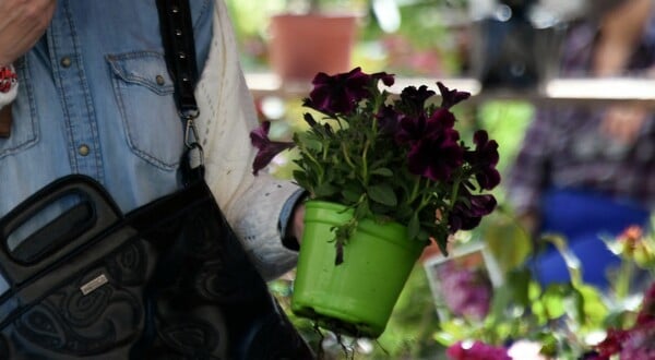 Λαϊκές αγορές: Το εορταστικό ωράριο