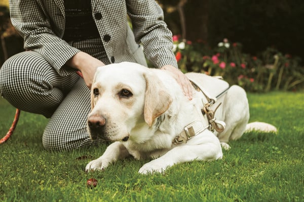 Motor Oil: Η ενέργεια που γίνεται προσφορά