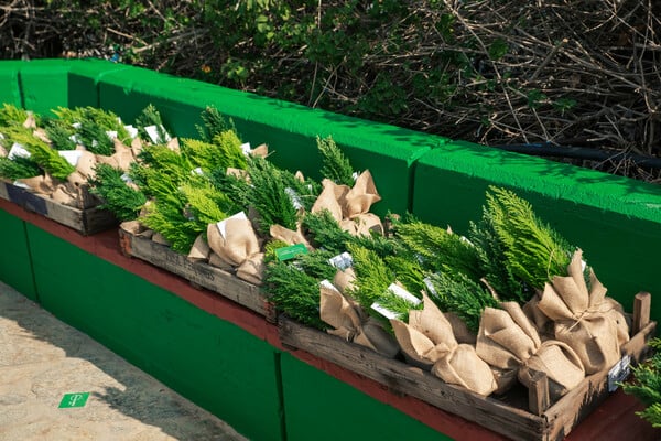 L’Oréal: H υπευθυνότητα γίνεται πυλώνας ομορφιάς, καινοτομίας και κοινωνικής δράσης