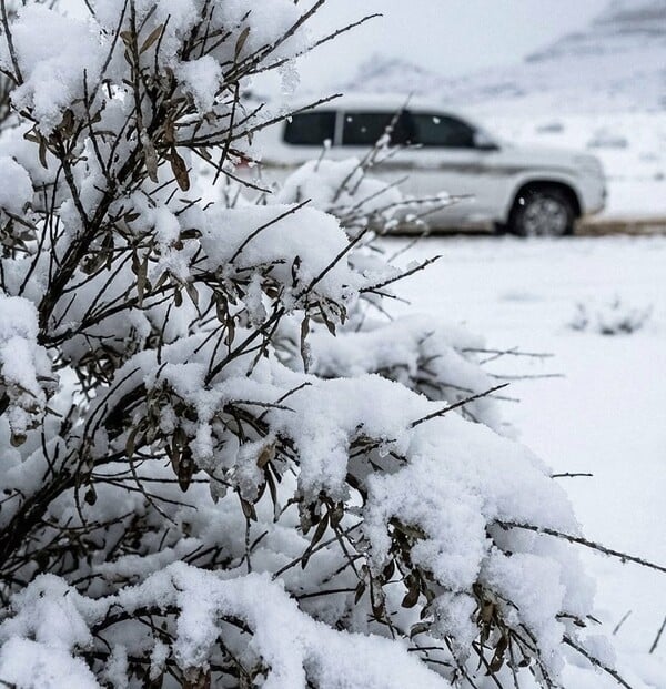 Σαουδική Αραβία: Στα λευκά «ντύθηκαν» επαρχίες και βουνά στα βορειοδυτικά της χώρας 