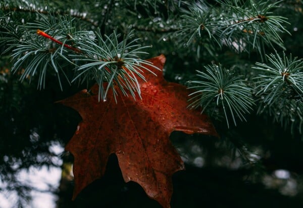 ΚΑΚΟΚΑΙΡΙΑ ΧΡΙΣΤΟΥΓΕΝΝΑ ΕΚΤΑΚΤΟ ΚΑΙΡΟΣ