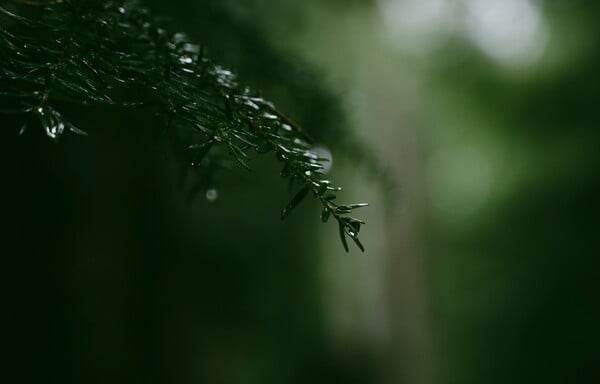 ΚΑΙΡΟΣ ΚΑΚΟΚΑΙΡΙΑ ΕΚΤΑΚΤΟ ΕΜΥ