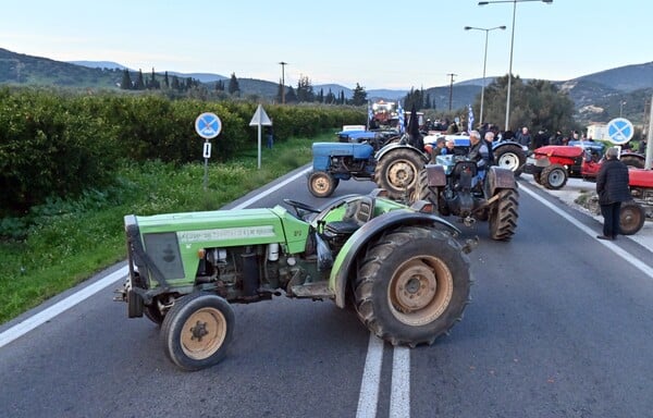 ΑΓΡΟΤΕΣ ΜΠΛΟΚΑ ΓΙΟΡΤΕΣ ΚΛΙΜΑΚΩΣΗ