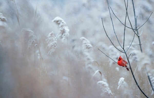 ΚΑΙΡΟΣ ΠΡΩΤΟΧΡΟΝΙΑ ΑΛΛΑΖΕΙ
