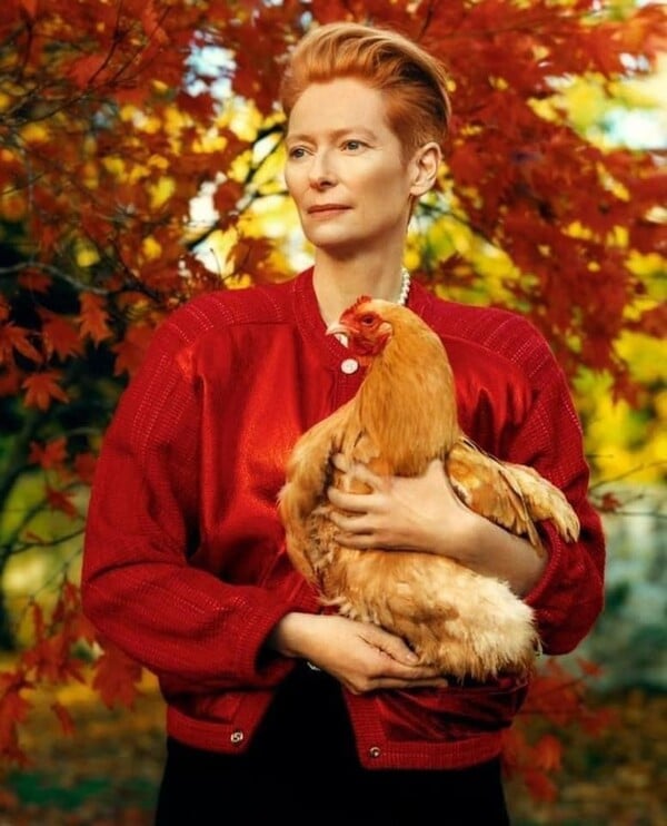 *Δεν περάσαμε και λίγες καταστροφές/ από τον Πάνο Μιχαήλ