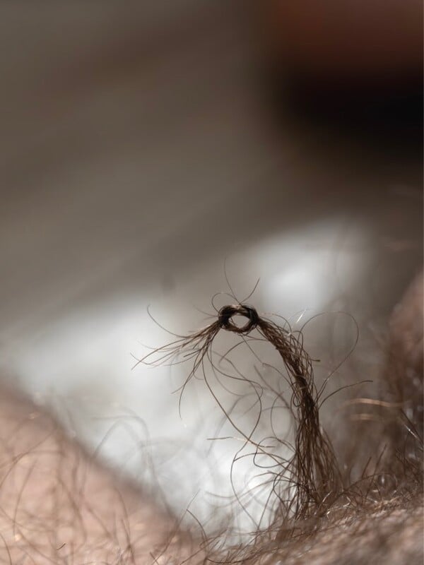 *Δεν περάσαμε και λίγες καταστροφές/ από τον Πάνο Μιχαήλ