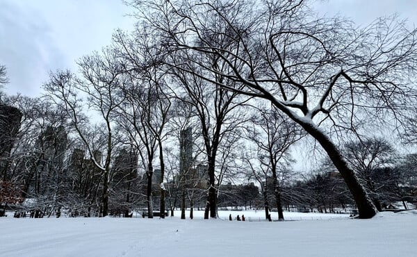 Σφοδρές χιονοπτώσεις στη Νέα Υόρκη: Χάος στις μετακινήσεις και τα αεροδρόμια
