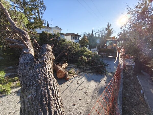 ΘΕΣΣΑΛΟΝΙΚΗ ΑΝΕΜΟΣ ΚΑΚΟΚΑΙΡΙΑ ΠΤΩΣΗ ΔΕΝΤΡΩΝ