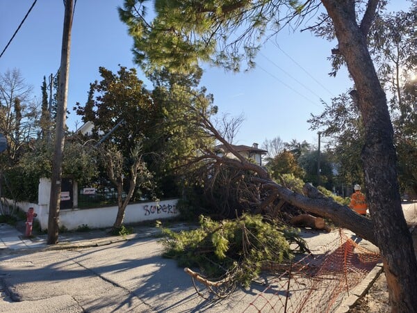 ΘΕΣΣΑΛΟΝΙΚΗ ΑΝΕΜΟΣ ΚΑΚΟΚΑΙΡΙΑ ΠΤΩΣΗ ΔΕΝΤΡΩΝ