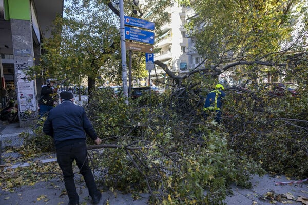 ΘΕΣΣΑΛΟΝΙΚΗ ΑΝΕΜΟΣ ΚΑΚΟΚΑΙΡΙΑ ΠΤΩΣΗ ΔΕΝΤΡΩΝ