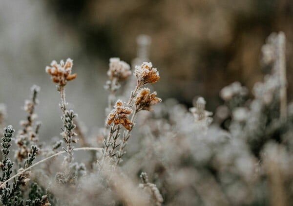ΚΑΙΡΟΣ ΣΗΜΕΡΑ ΧΙΟΝΙΑ ΚΡΥΟ 