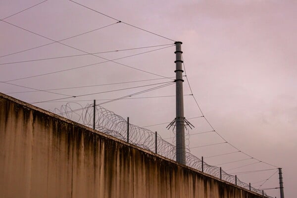 ΣΟΥΡΙΝΑΜ ΔΟΛΟΦΟΝΙΑ ΠΑΙΔΙΑ ΑΥΤΟΚΤΟΝΙΑ