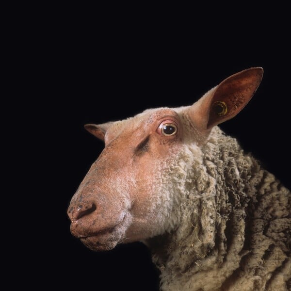 Οι 10 πιο σημαντικές «μεγάλες» αθηναϊκές εικαστικές εκθέσεις του 2025 με χρονολογική σειρά