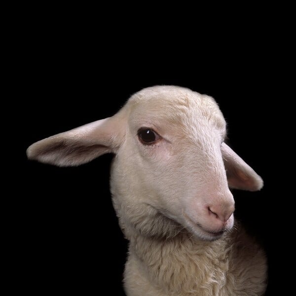 Οι 10 πιο σημαντικές «μεγάλες» αθηναϊκές εικαστικές εκθέσεις του 2025 με χρονολογική σειρά