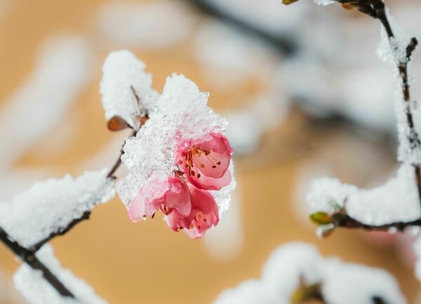 Καιρός: Υπό το μηδέν οι θερμοκρασίες στην Αττική παραμονή και ανήμερα Πρωτοχρονιάς