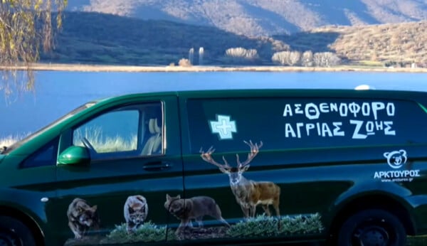 ΑΡΚΤΟΥΡΟς ΑΣΘΕΝΟΦΟΡΟ