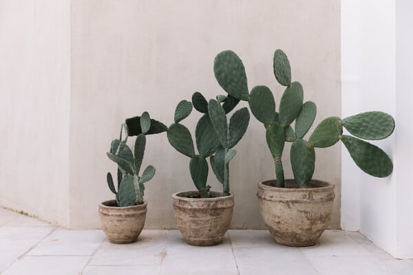 Ένα σκανδιναβοϊαπωνικό σπίτι στη Βούλα/ Ένα λιτό σπίτι με σκανδιναβικές γραμμές/ Ένα σπίτι με επικούρεια φρόνηση