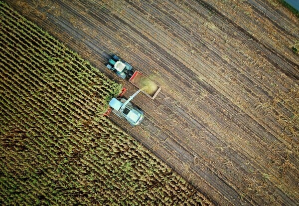 ΟΠΕΚΕΠΕ ΕΓΚΛΗΜΑΤΙΚΕΣ ΟΡΓΑΝΩΣΕΙΣ ΗΡΑΚΛΕΙΟ ΤΡΙΚΑΛΑ ΚΟΖΑΝΗ