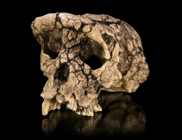 ΟΣΤΑ ΠΡΟΪΣΤΟΡΙΑ ΔΙΠΟΔΑ