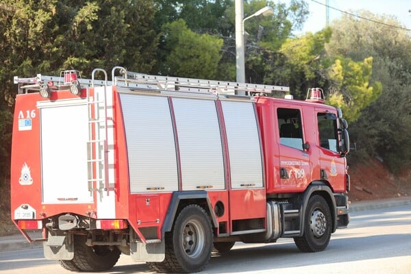 ΦΩΤΙΑ ΡΑΦΗΝΑ 