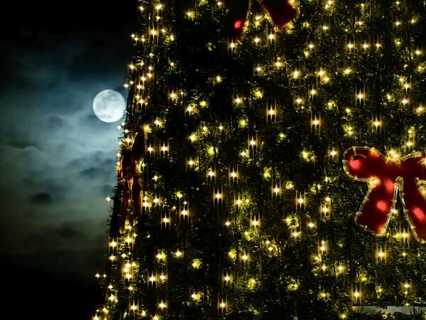 ΠΑΝΣΕΛΗΝΟΣ ΙΑΝΟΥΑΡΙΟΥ 2026 ΝΑΥΠΛΙΟ