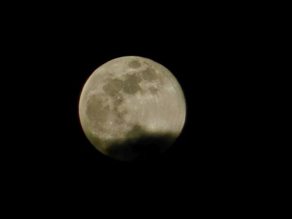 ΠΑΝΣΕΛΗΝΟΣ ΙΑΝΟΥΑΡΙΟΥ 2026 ΝΑΥΠΛΙΟ