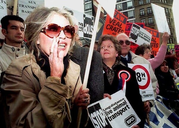 ΜΠΡΙΖΙΤ ΜΠΑΡΝΤΟ ΚΗΔΕΙΑ ΓΑΛΛΙΑ