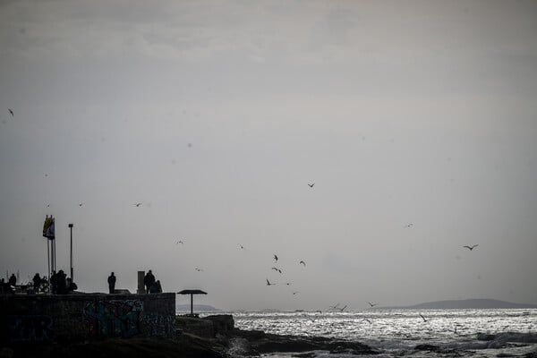 ΘΕΟΦΑΝΕΙΑ ΣΤΑΥΡΟΣ ΙΕΡΕΑΣ ΚΑΛΑΜΙ ΨΑΡΕΜΑΤΟΣ