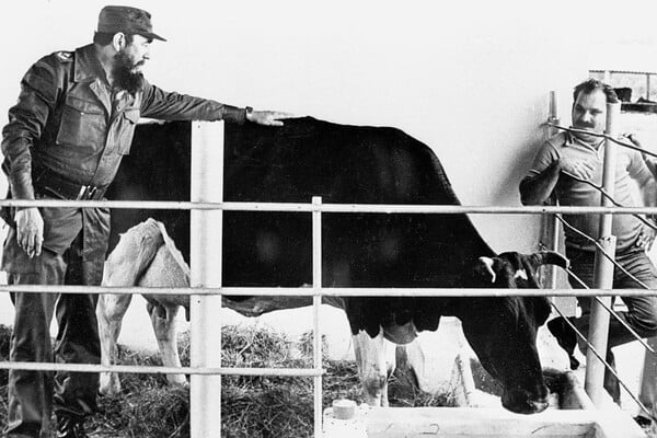 Μαγειρεύοντας για τους δικτάτορες