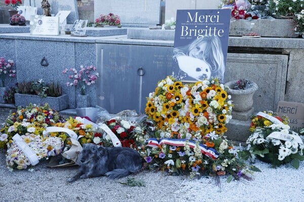 ΜΠΡΙΖΙΤ ΜΠΑΡΝΤΟ ΓΑΛΛΙΑ ΚΗΔΕΙΑ