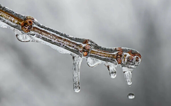 Καιρός - Μαρουσάκης: Έρχεται νέο κύμα ψύχους με τσουχτερό κρύο και χιόνια