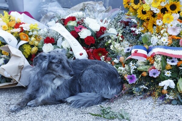 ΜΠΡΙΖΙΤ ΜΠΑΡΝΤΟ ΓΑΛΛΙΑ ΚΗΔΕΙΑ