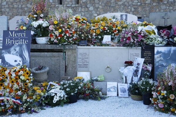 ΜΠΡΙΖΙΤ ΜΠΑΡΝΤΟ ΓΑΛΛΙΑ ΚΗΔΕΙΑ