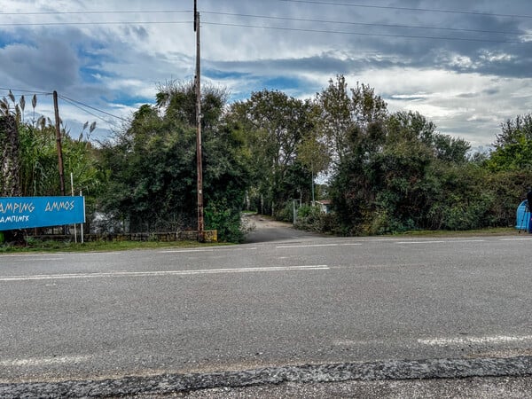 ΦΟΙΝΙΚΟΥΝΤΑ ΔΙΠΛΗ ΔΟΛΟΦΟΝΙΑ ΚΑΤΗΓΟΡΟΥΜΕΝΟΙ ΑΝΑΚΡΙΤΡΙΑ