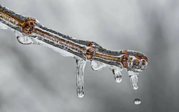 ΚΑΙΡΟΣ ΚΑΛΛΙΑΝΟΣ ΧΙΟΝΙΑ