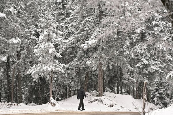 Καιρός: Πολική εισβολή σήμερα στη χώρα - Χιονοπτώσεις, ξεροβόρι και τσουχτερό κρύο